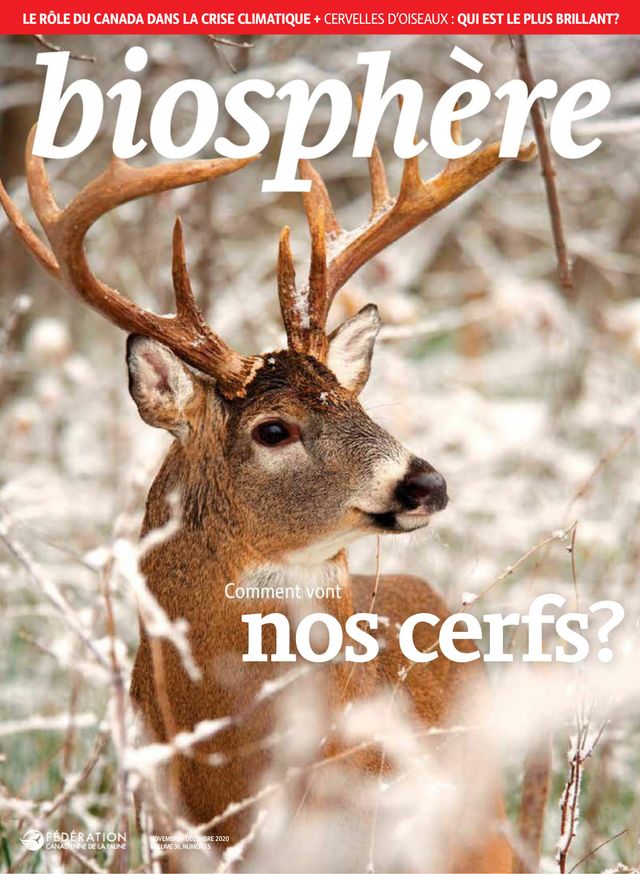 Biosphère