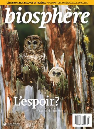 Biosphère - May/June 2025 Biosphère Cover - May/June 2025 Edition