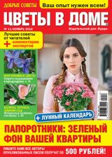 Issue 11, 2016