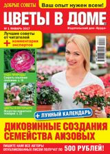 Issue 01, 2017