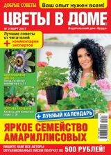 Issue 03, 2017