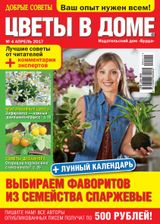 Issue 04, 2017