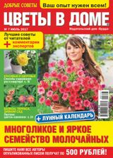 Issue 07, 2017
