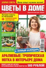 Issue 11, 2017