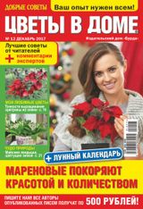 Issue 12, 2017