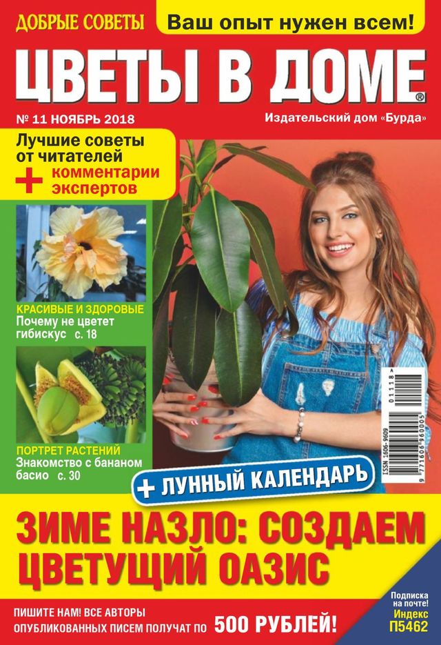 Цветы в доме.