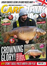 Issue 1217