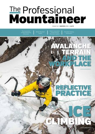 Professional Mountaineer