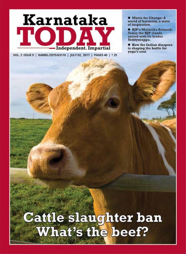 मैगज़्टर गोल्ड के साथ असीमित हो जाओ