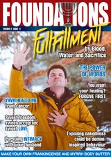 Volume 2, Issue 11