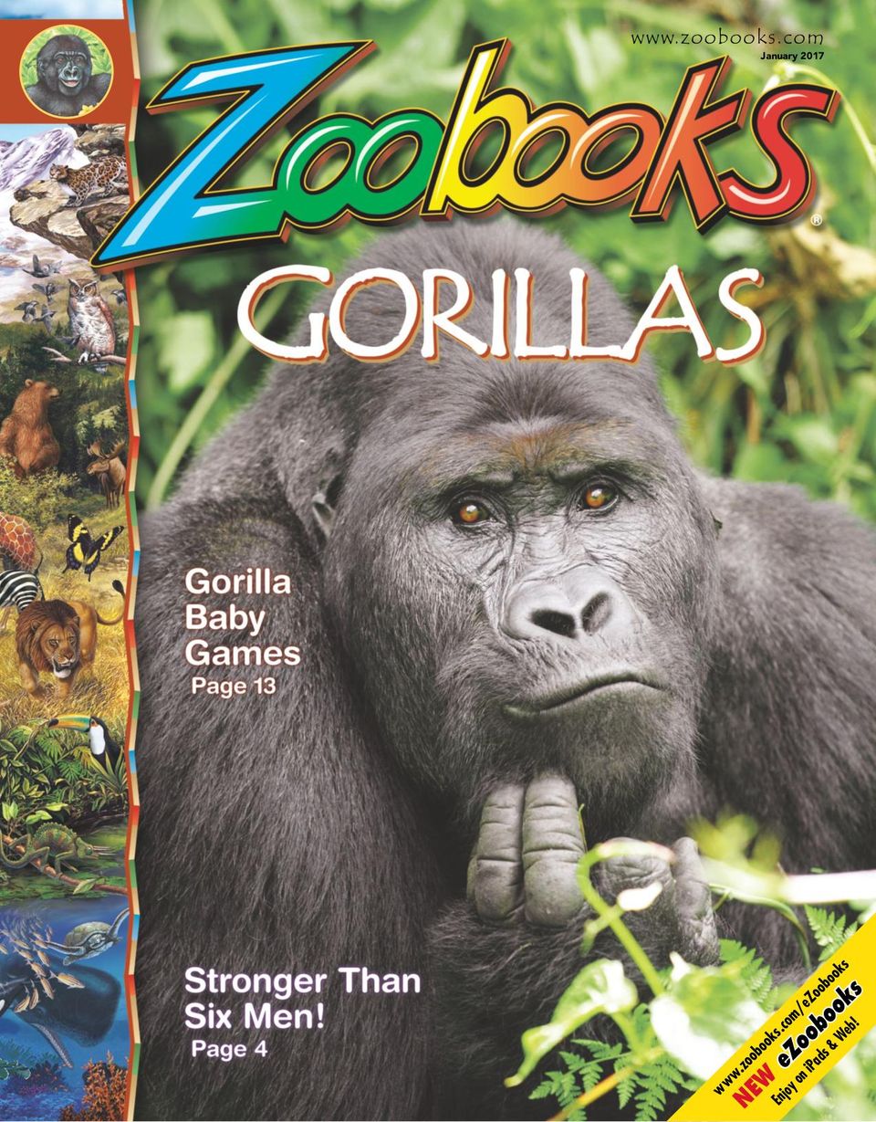 zoo books 90s commercial