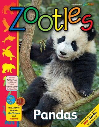 Zootles - November/December 2017 Zootles Cover - November/December 2017 Edition