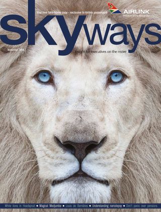 Skyways