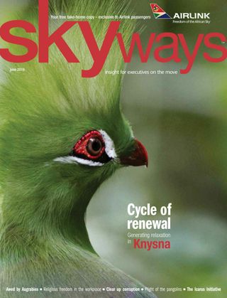 Skyways