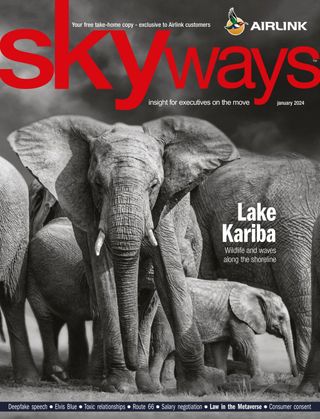 Skyways - May 2025 Skyways Cover - May 2025 Edition