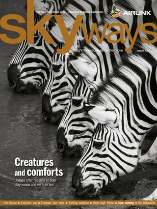 Skyways - May 2025 Skyways Cover - May 2025 Edition
