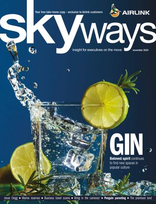 Skyways - May 2025 Skyways Cover - May 2025 Edition