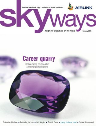 Skyways - May 2025 Skyways Cover - May 2025 Edition