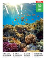 Issue 17