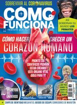 Octubre-noviembre 2020
