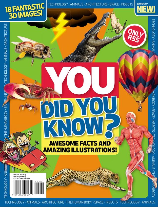 YOU Did You Know?