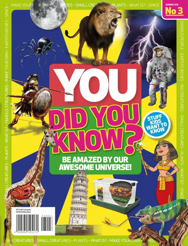 YOU Did You Know?