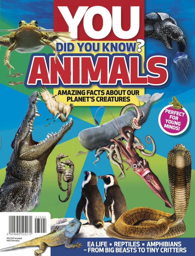 YOU Did You Know?