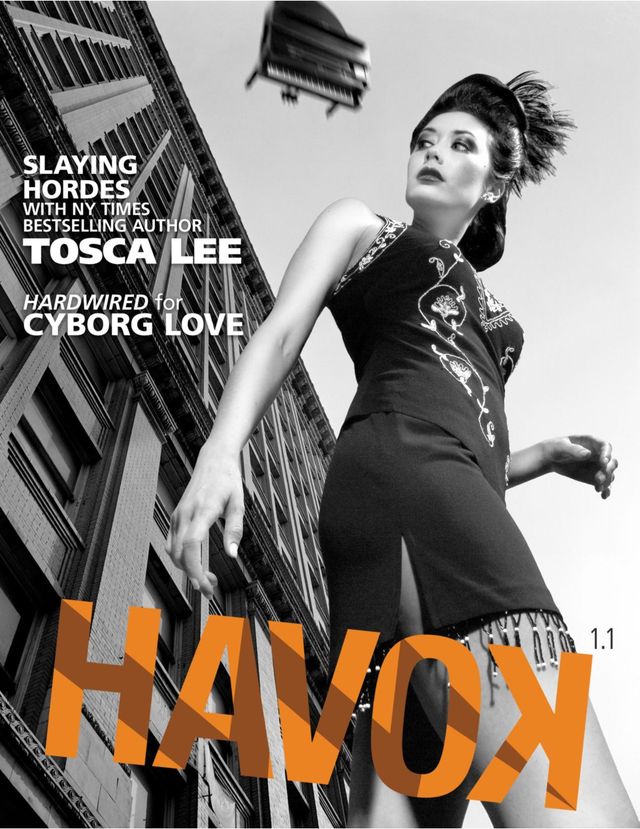 HAVOK