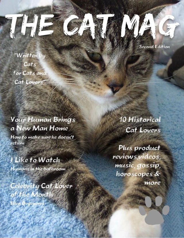 The Cat Mag