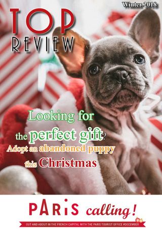 Top Review  Cover - Winter 2018 Edition