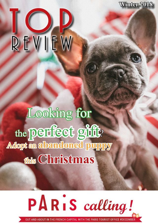 Top Review