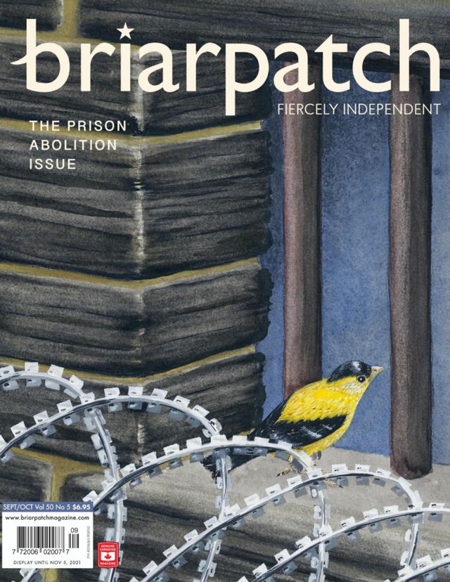 Briarpatch