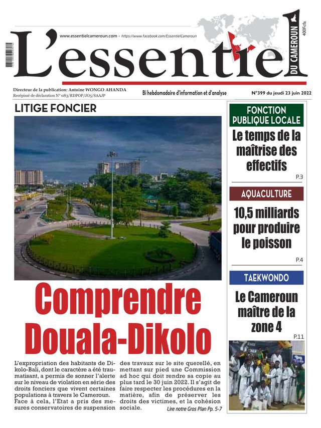 L'essentiel du Cameroun