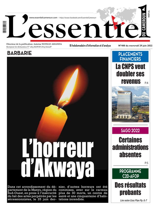 L'essentiel du Cameroun