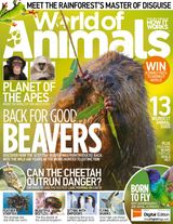 Issue 45