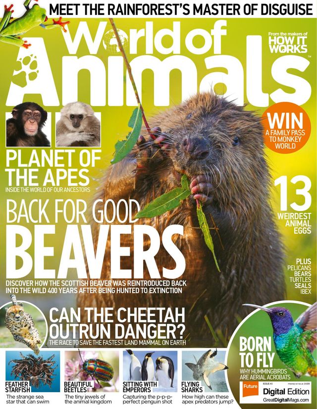 Go Unlimited with Magzter GOLD