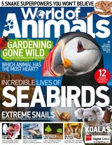 Issue 46
