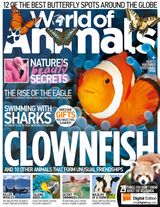 Issue 47