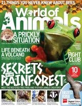 Issue 48