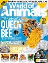 Issue 49