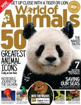 Issue 50