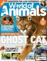 Issue 51