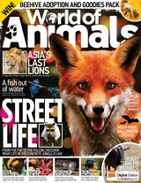 Issue 52