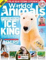 Issue 53