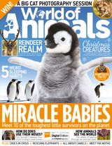 Issue 54