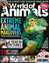 Issue 55