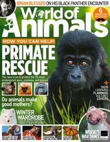 Issue 56