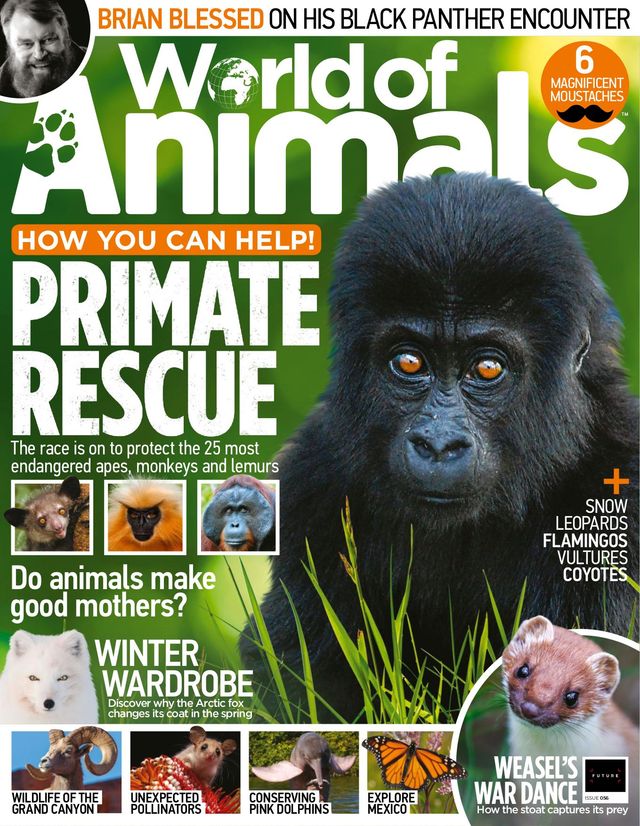 World of Animals UK