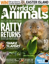 Issue 57