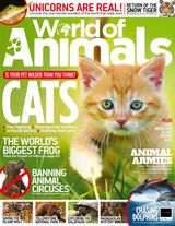 Issue 58
